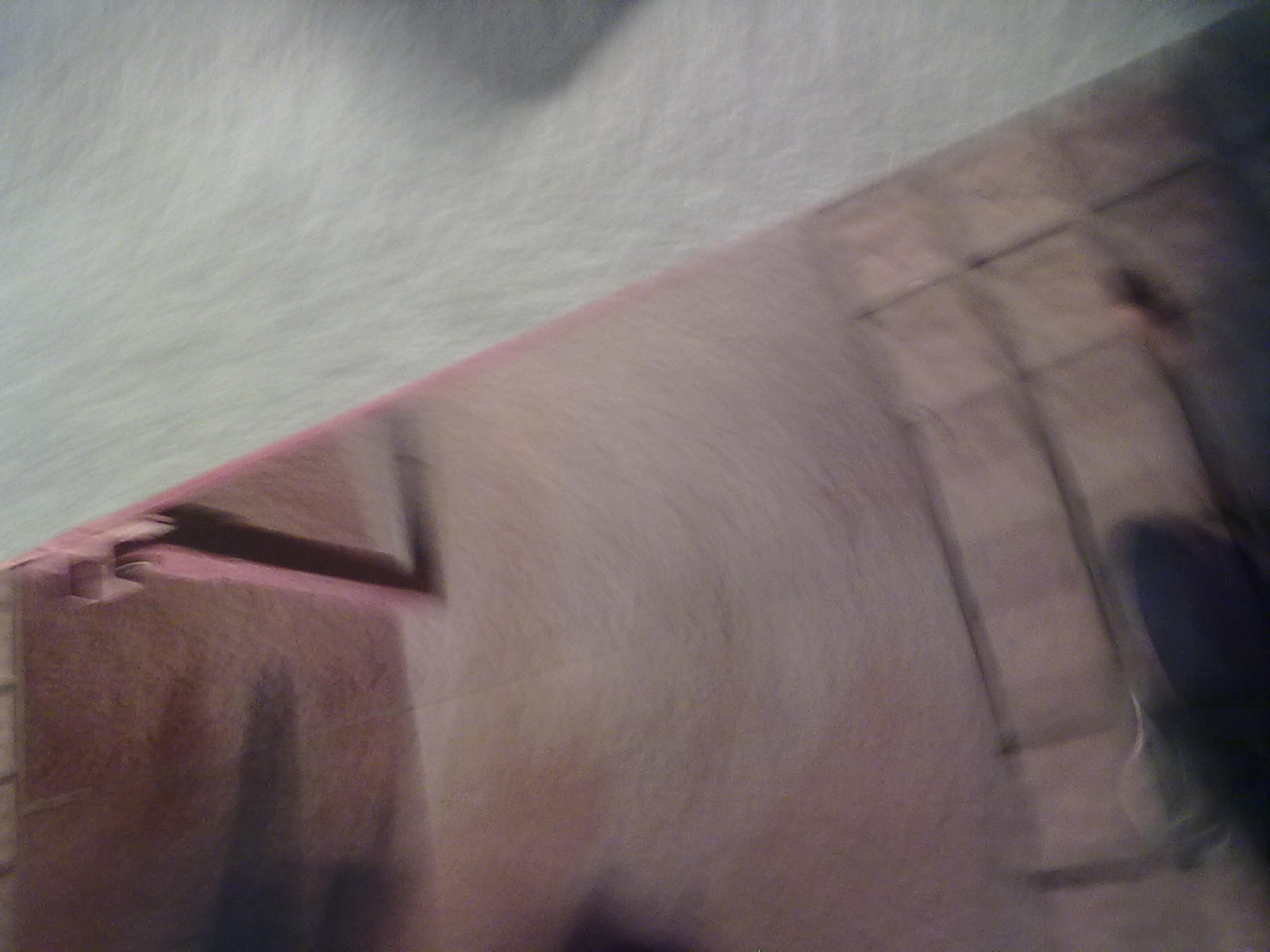 20110528123.jpg