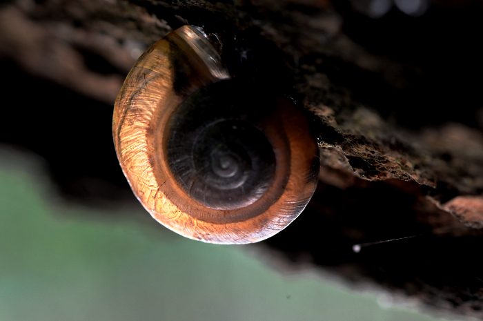 DSC_0720.jpg