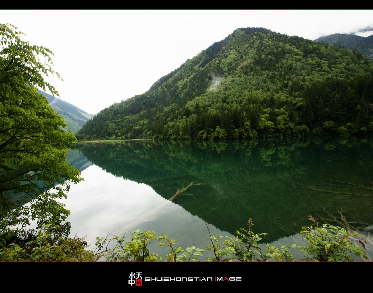 DSC_4706.jpg