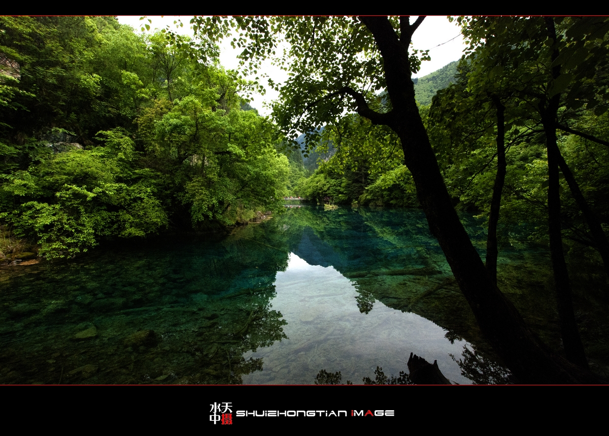 DSC_4722.jpg