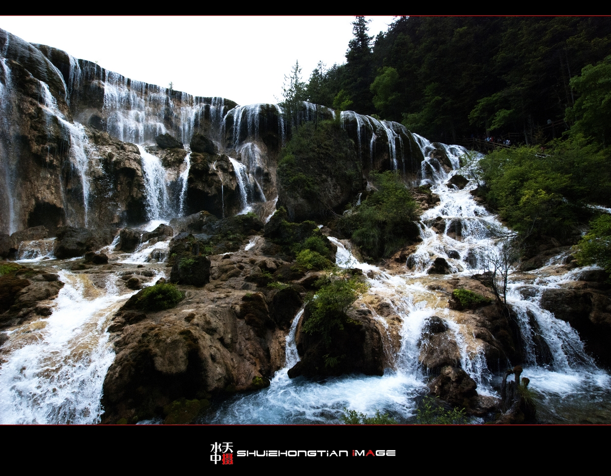DSC_4735.jpg