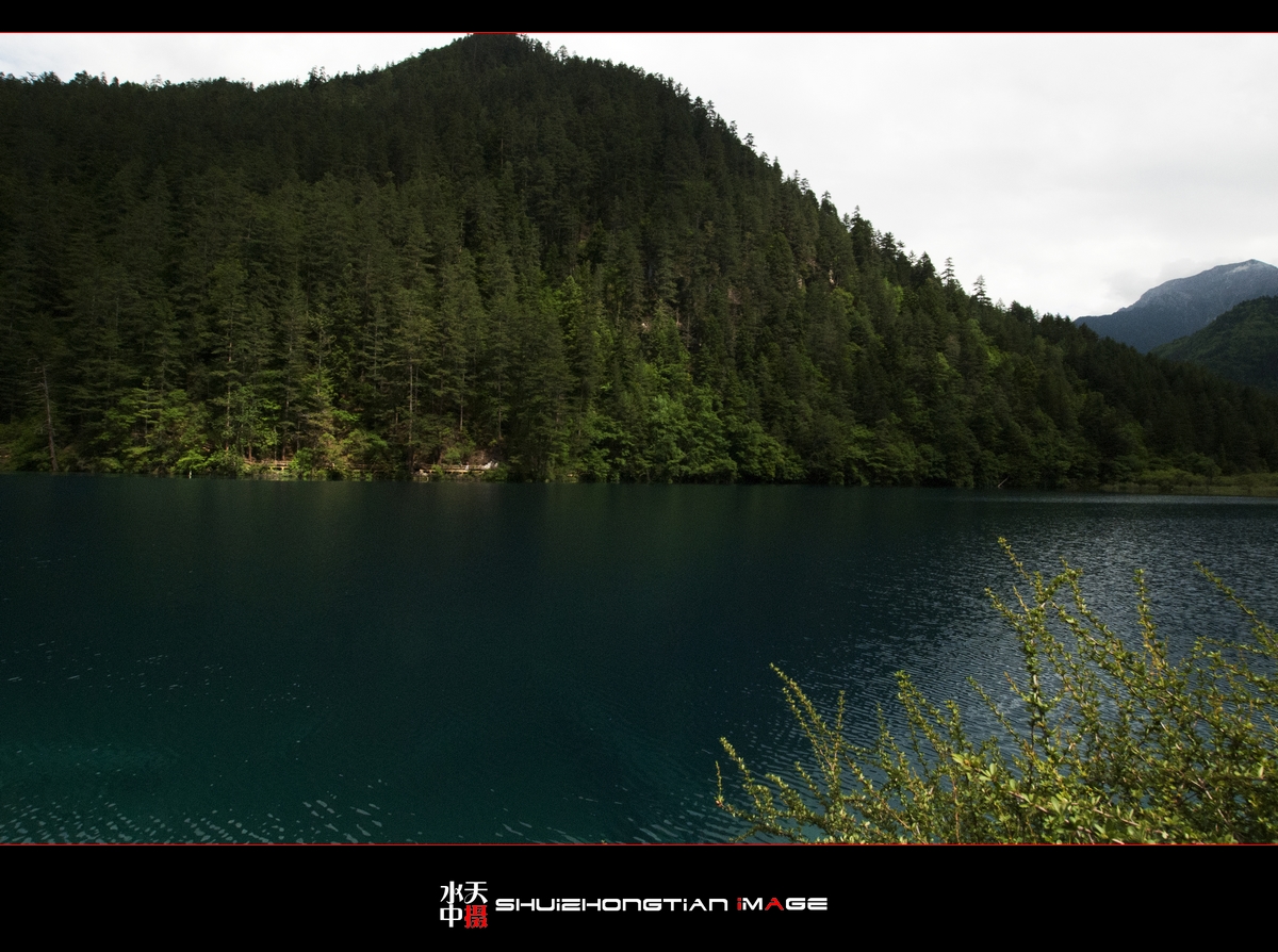 DSC_4739.jpg