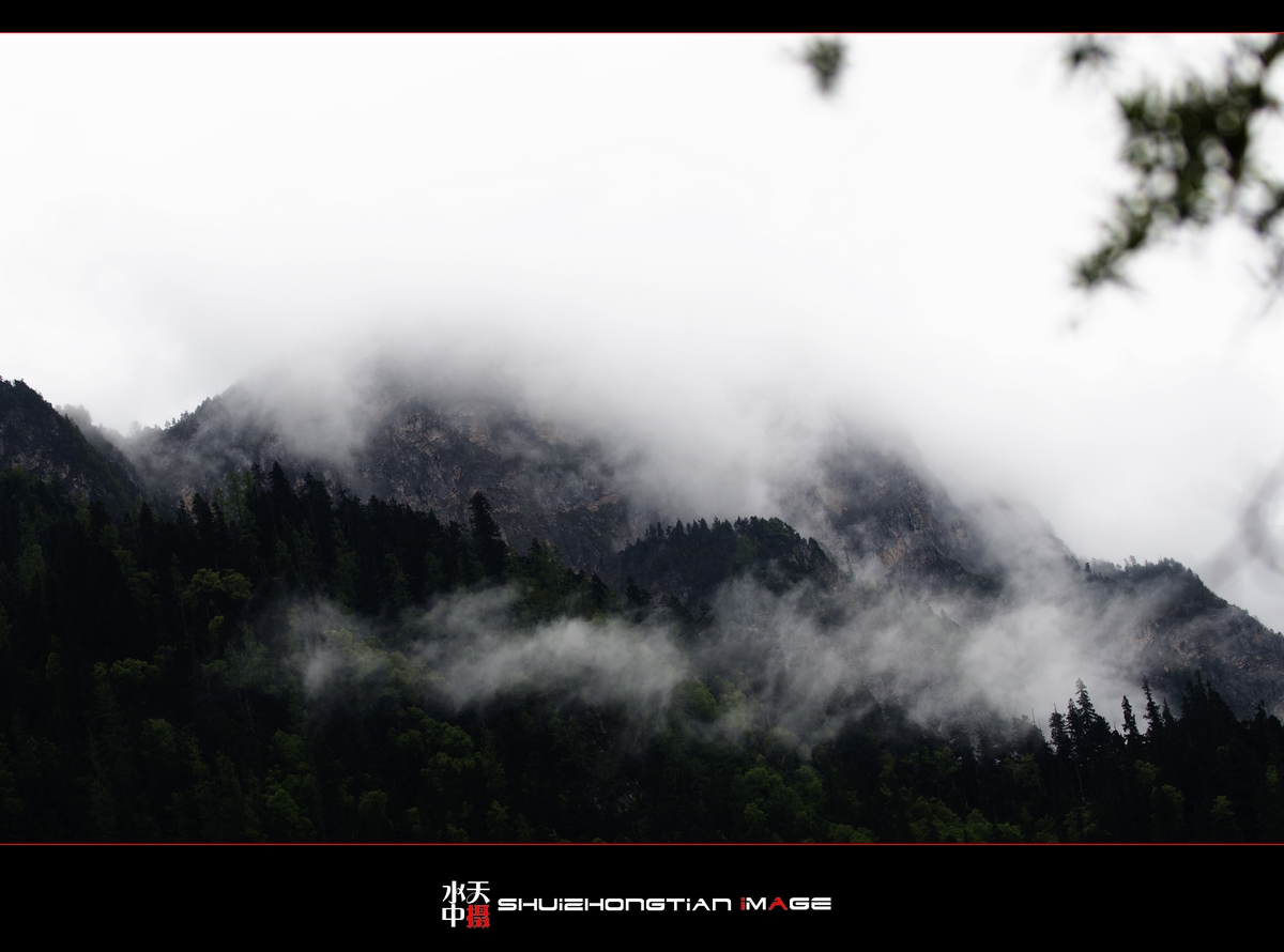 DSC_7724.jpg