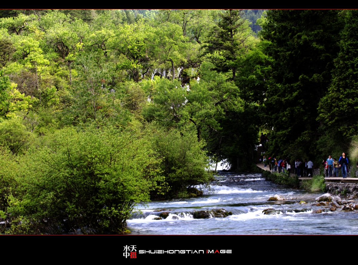 DSC_7812.jpg