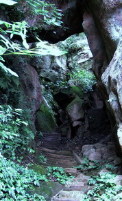 PIC_0347.jpg