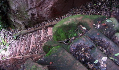 PIC_0354.jpg