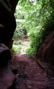 PIC_0349.jpg