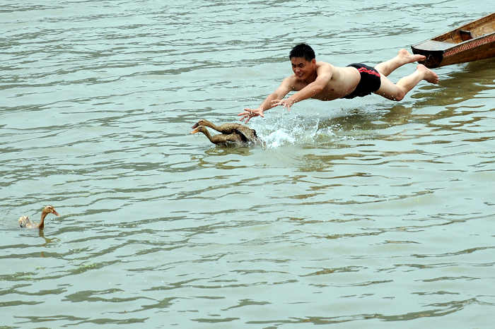 DSC_0831.jpg
