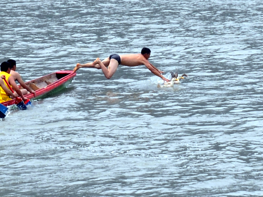 DSC_0833.jpg