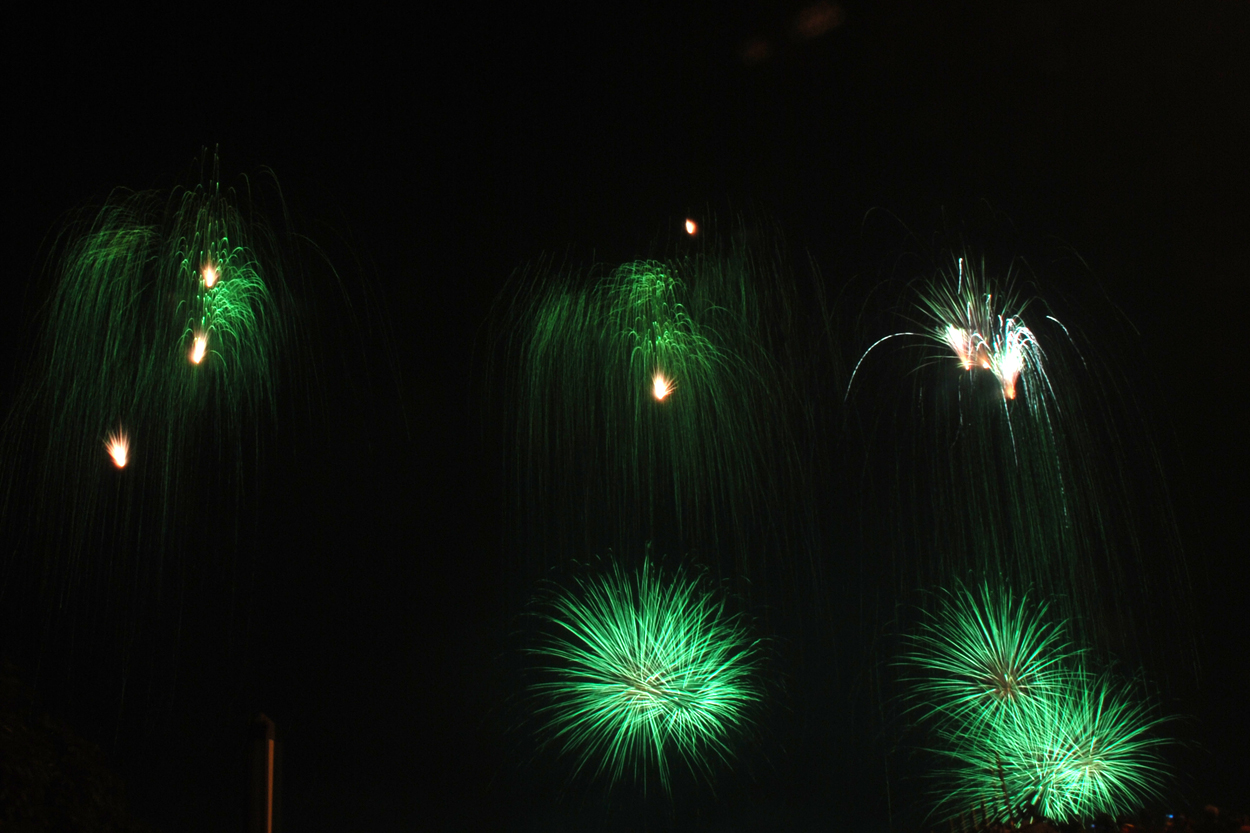 DSC_7937.jpg