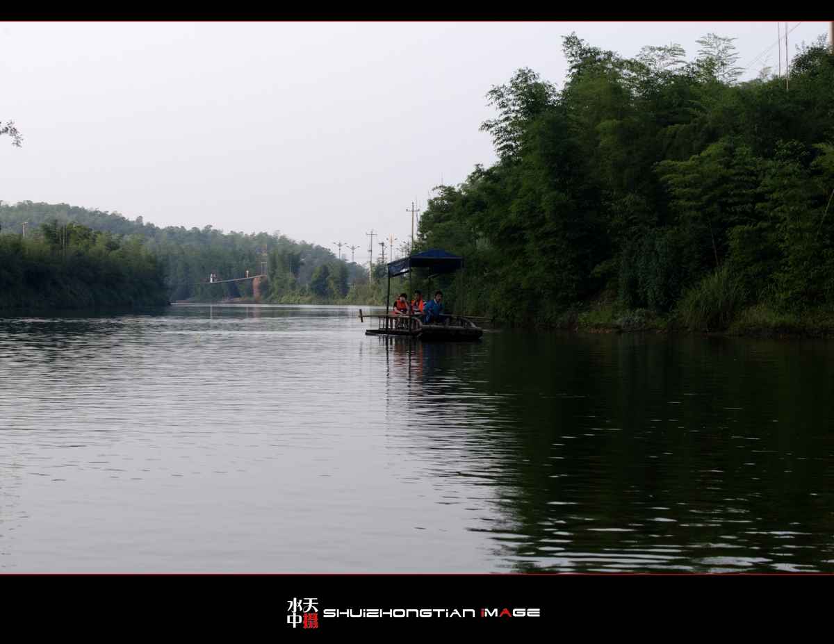 DSC_8443.jpg