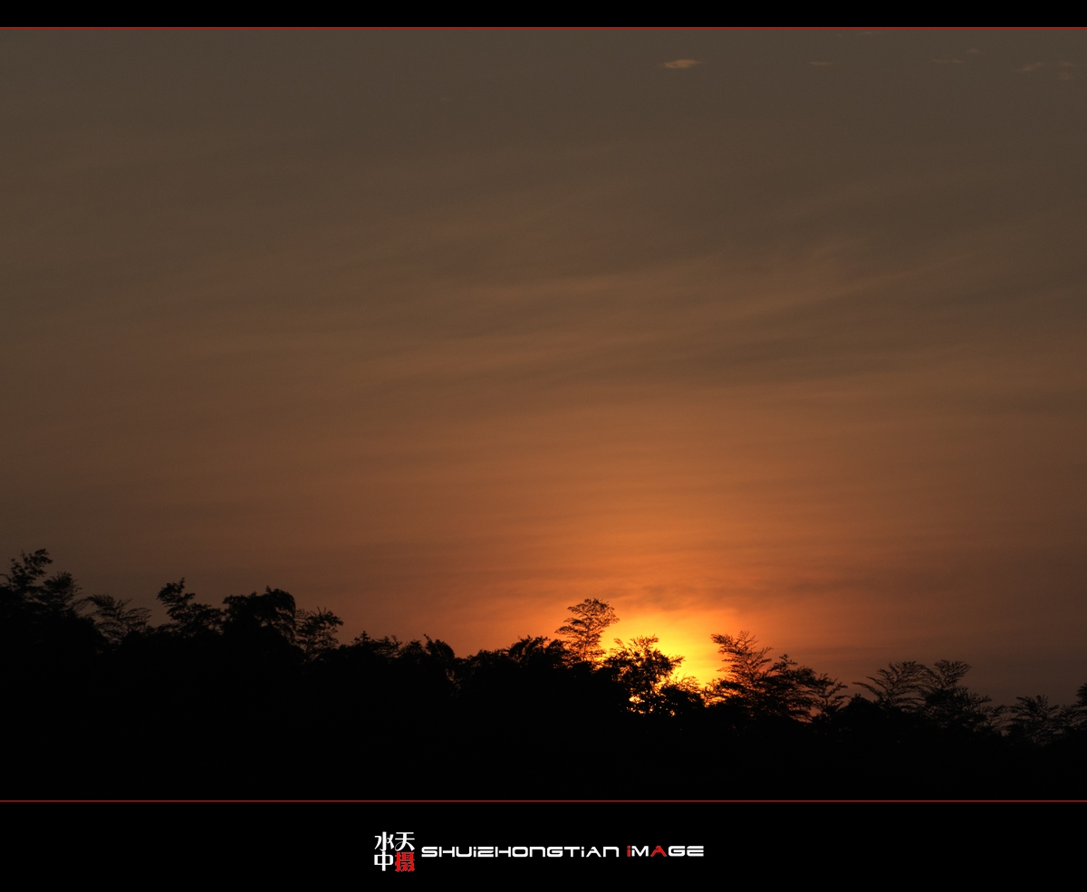 DSC_8496.jpg