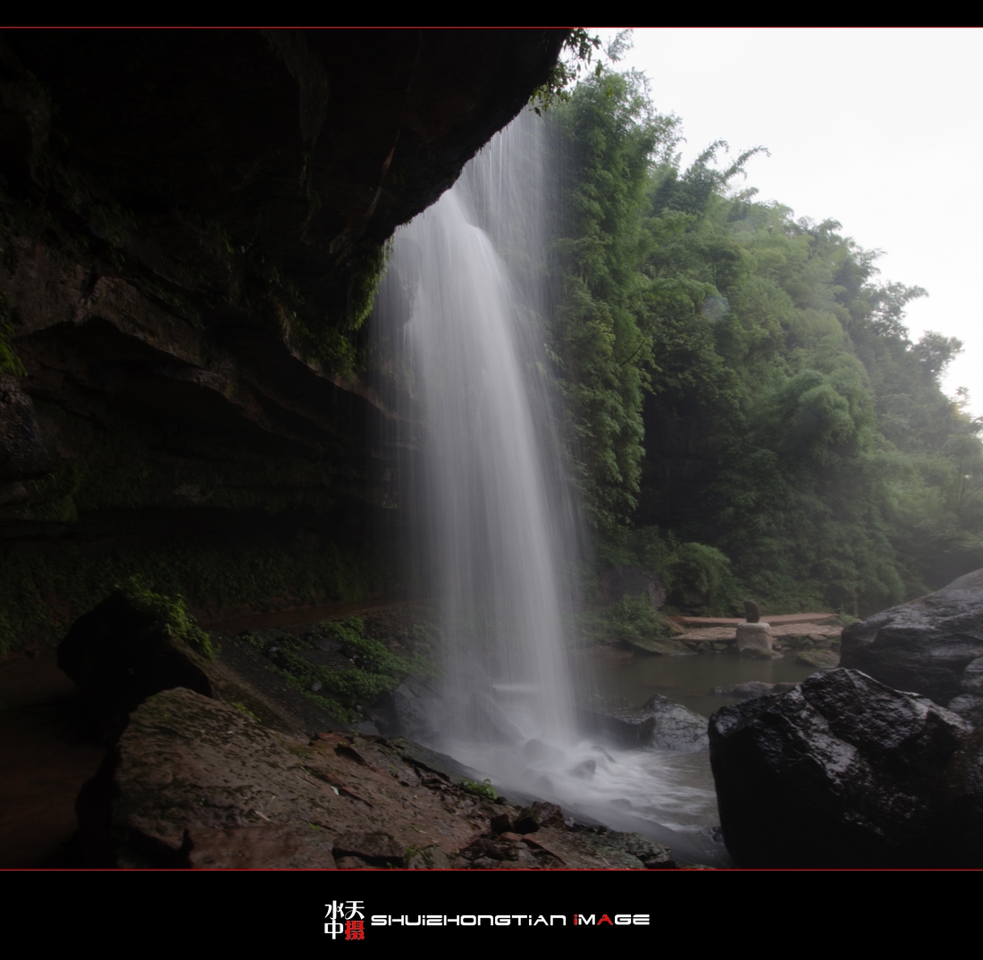 DSC_8584.jpg