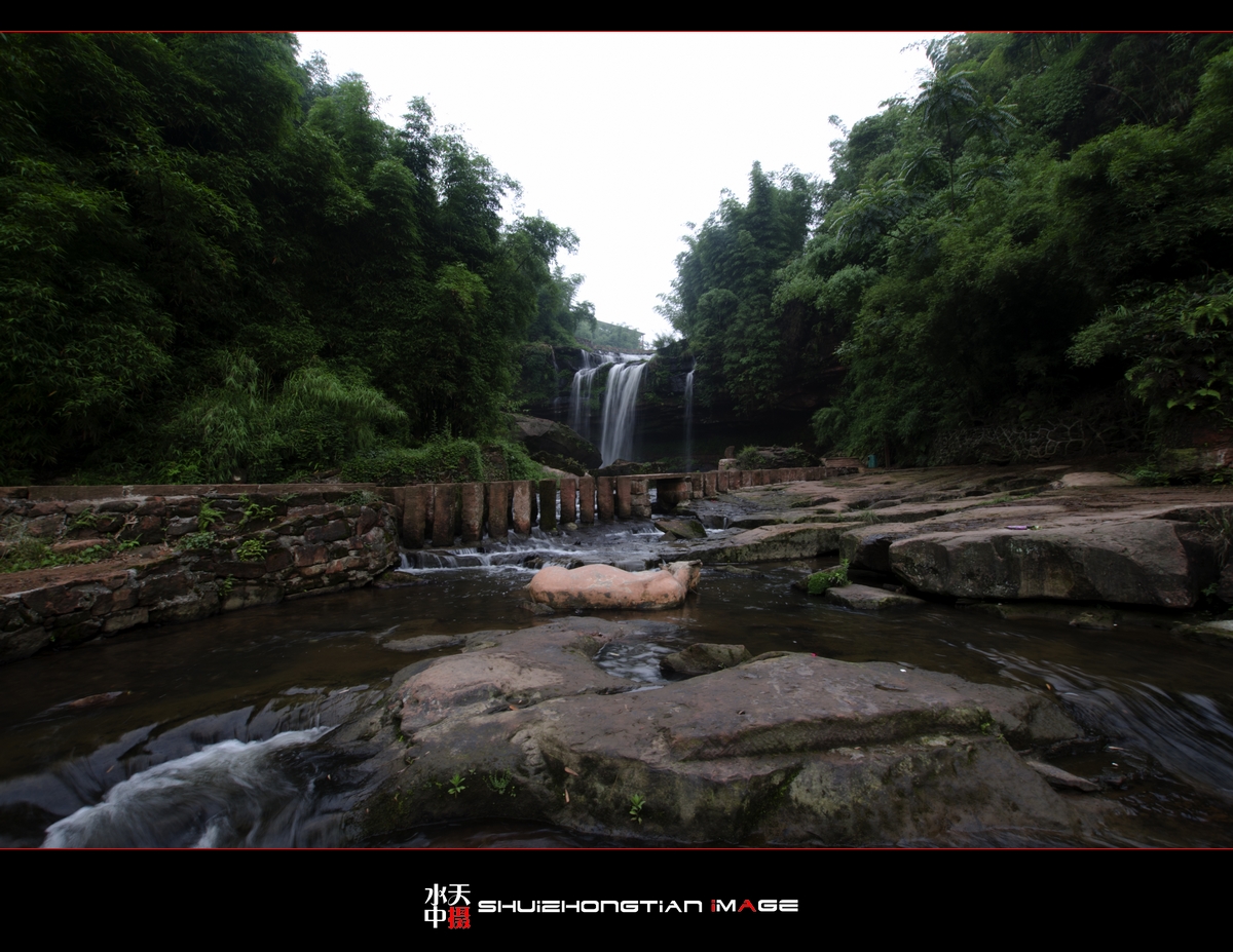 DSC_8595.jpg