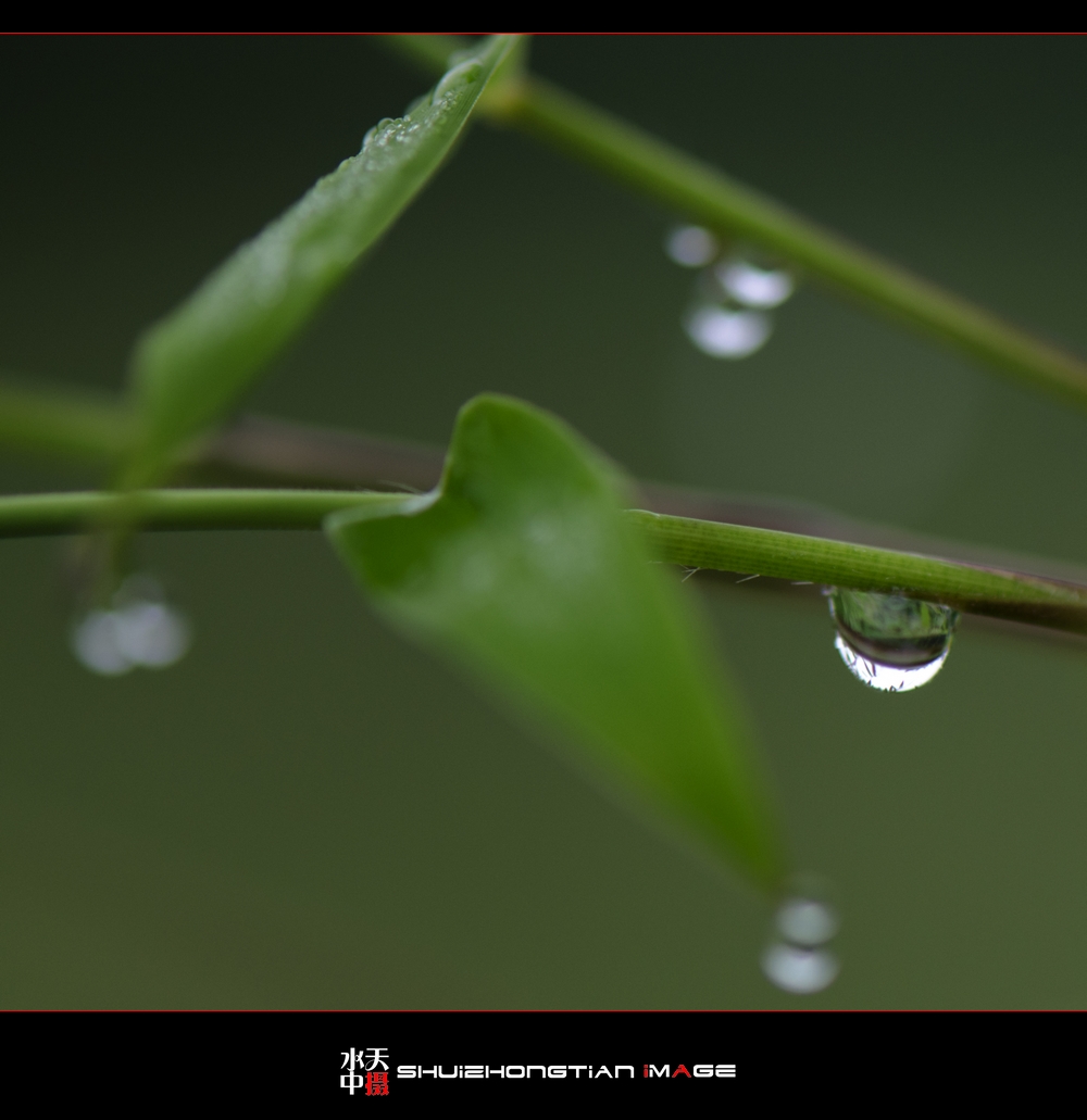 DSC_8641.jpg