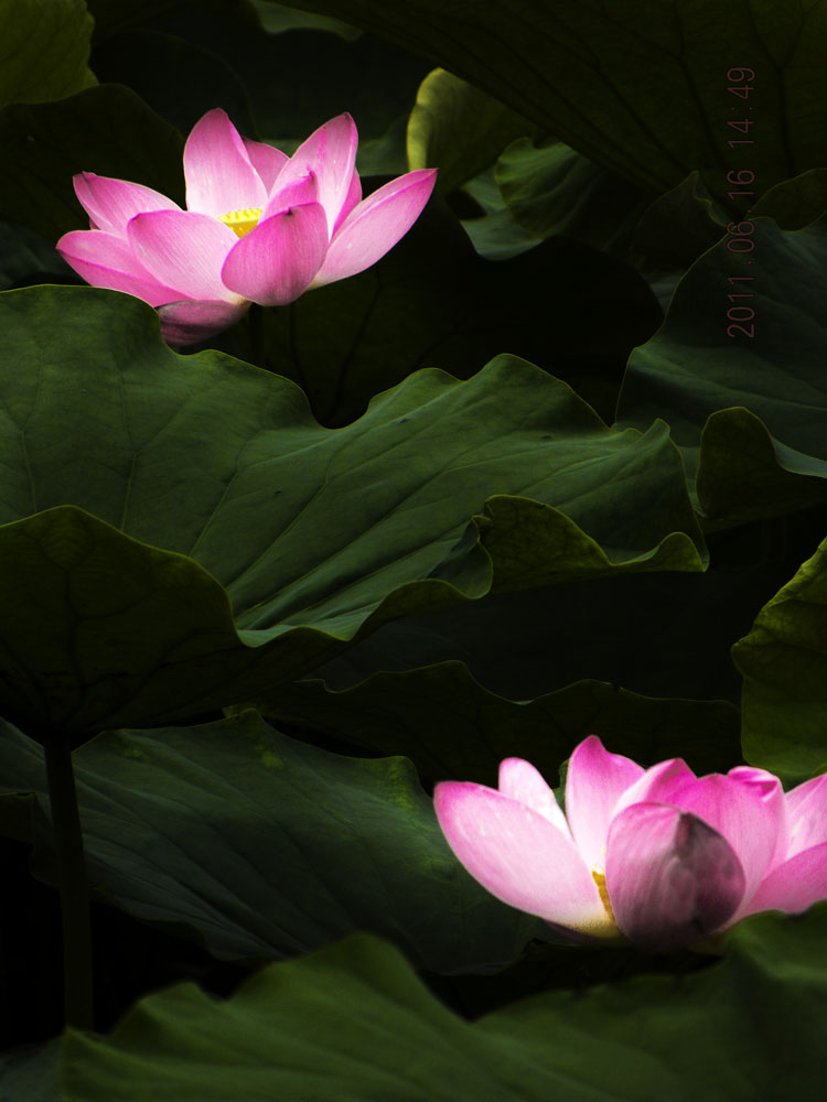 DSCN3898.jpg