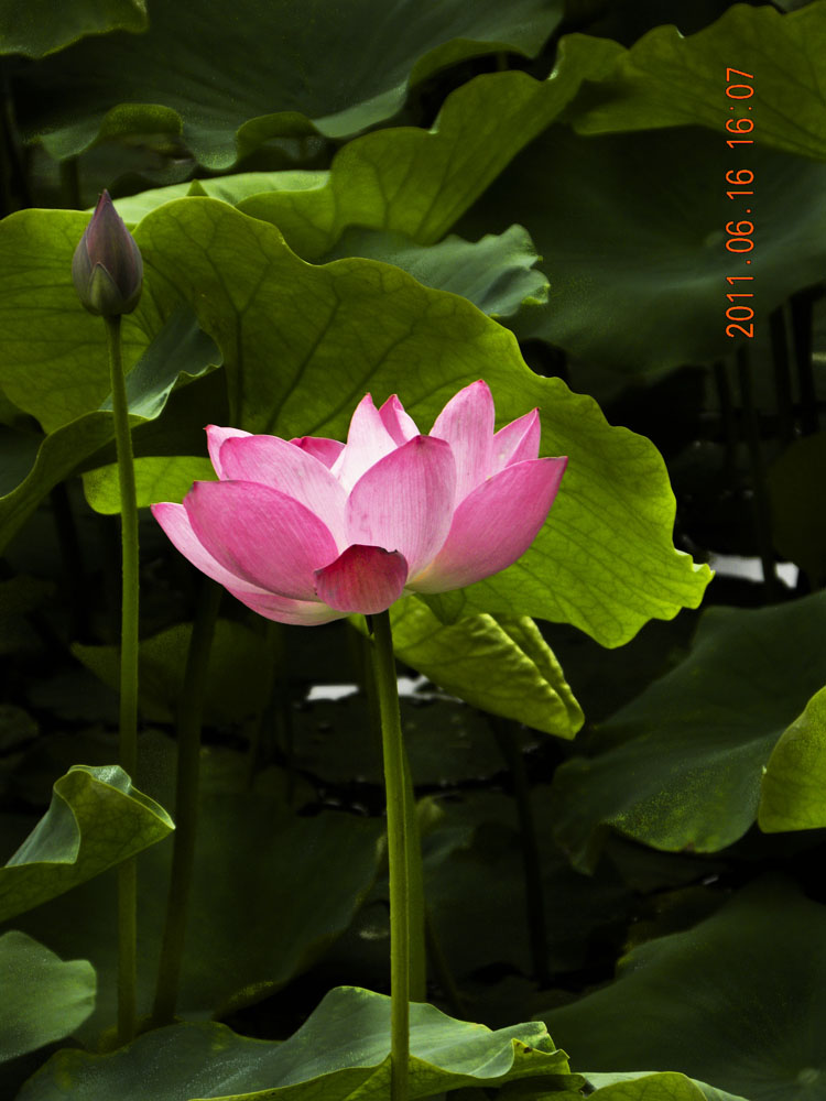 DSCN3912.jpg