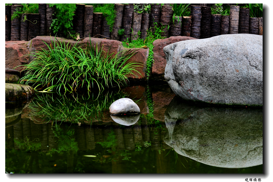 DSC_2652.JPG