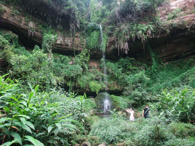 DSCF8374.jpg