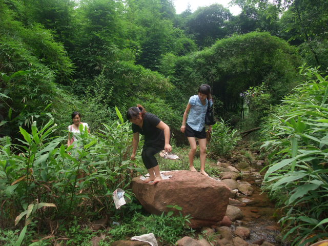 DSCF8366.jpg