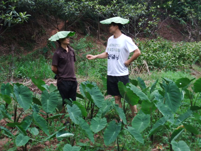 DSCF8524.jpg