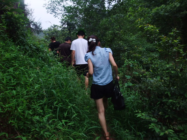 DSCF8531.jpg