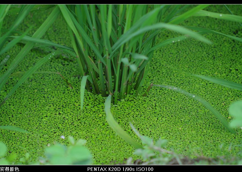 nEO_IMG_IMGP5759.jpg