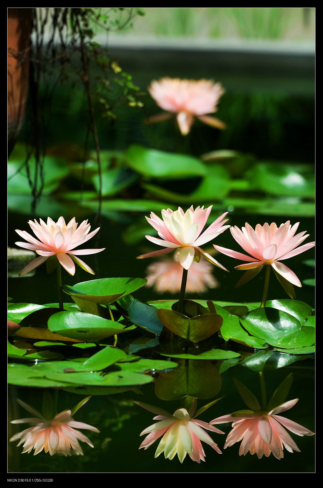 nEO_IMG_DSC_5413.jpg