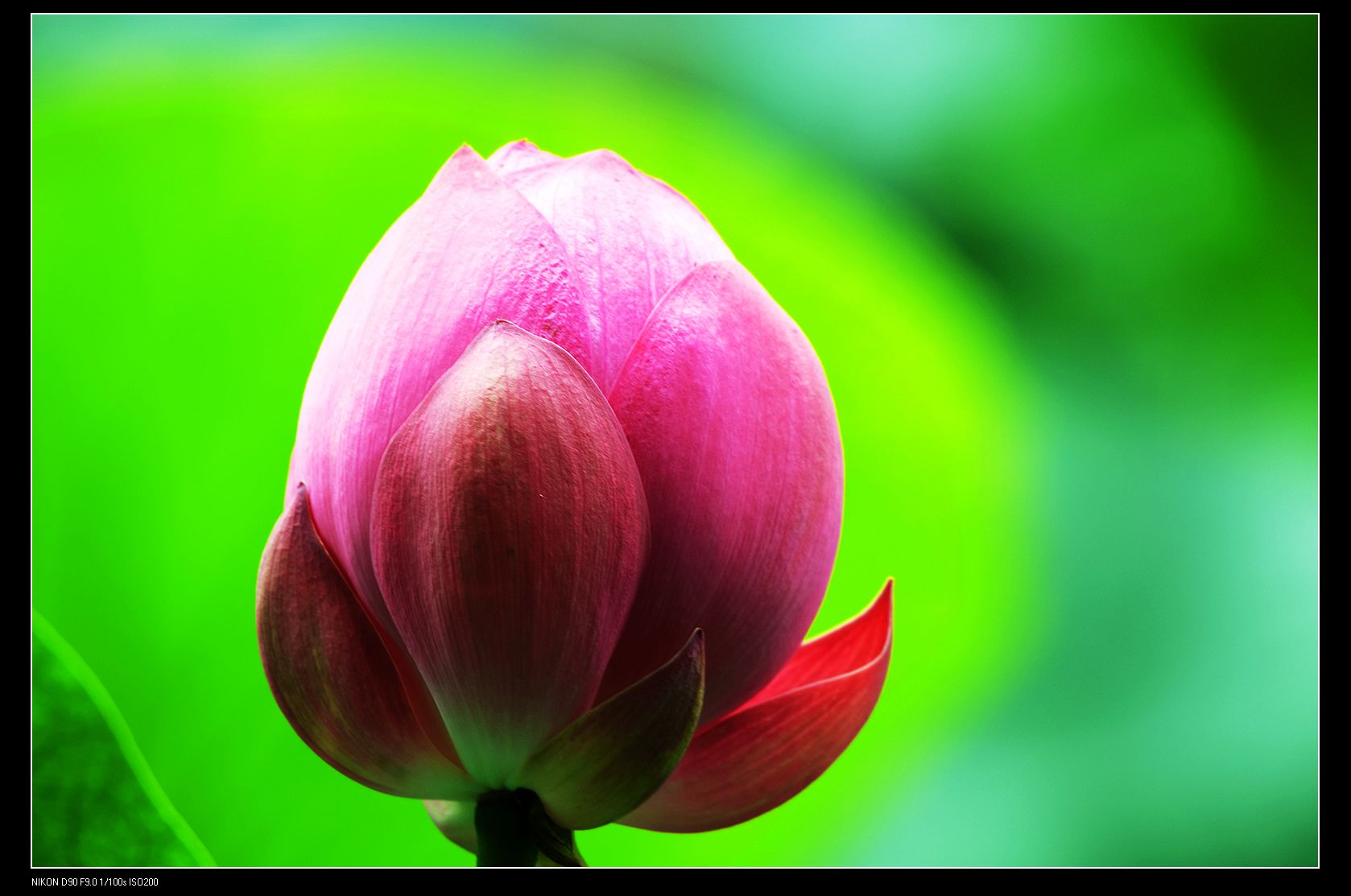 nEO_IMG_DSC_5362.jpg