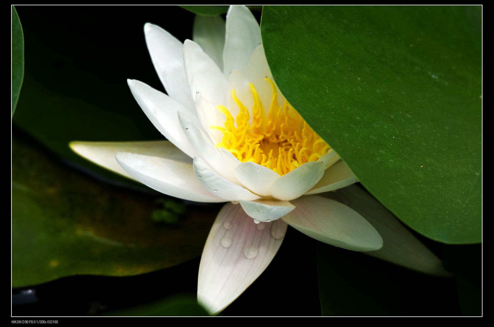 nEO_IMG_DSC_5389.jpg