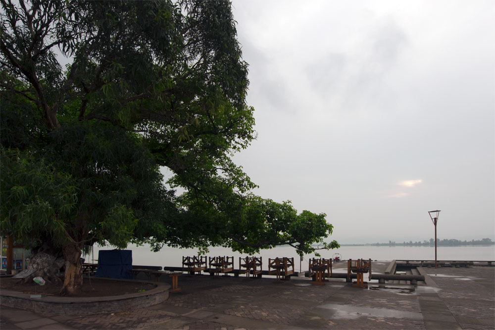DSC_4667.jpg