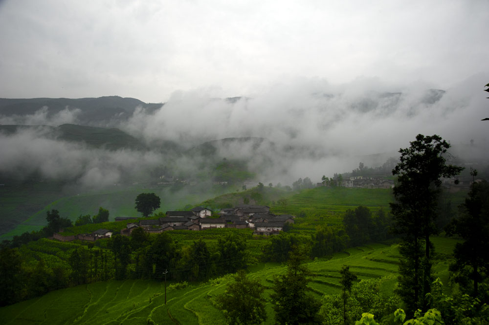 DSC_4563.jpg