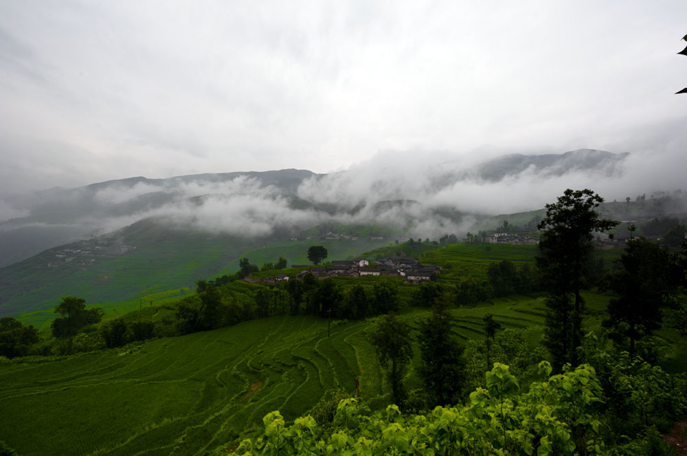 DSC_4564.jpg