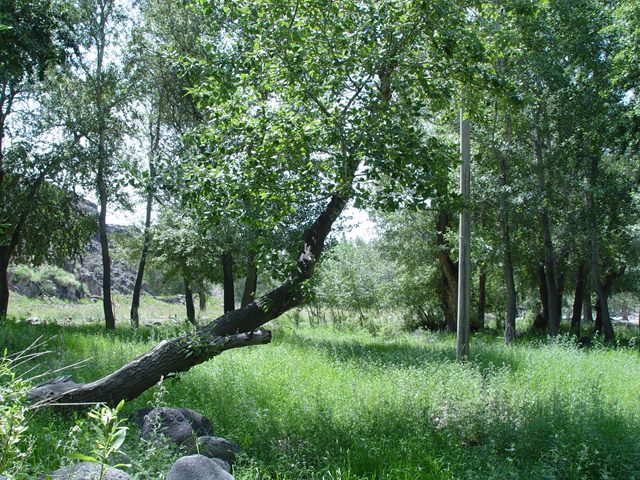 DSC08119.jpg