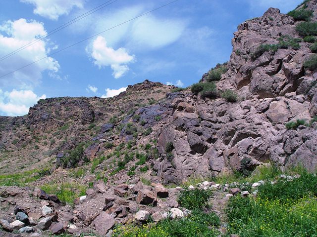 DSC08157.jpg