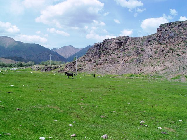 DSC08161.jpg