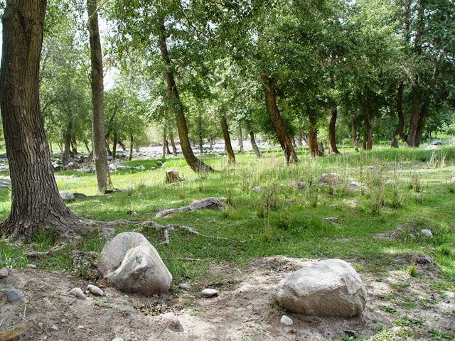 DSC08171.jpg