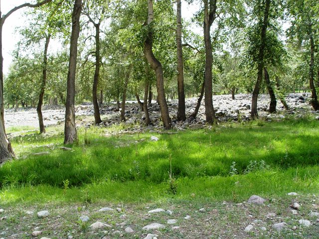 DSC08180.jpg