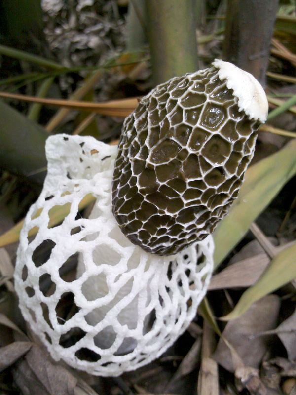 2011-07-17_11-09-35_354.jpg