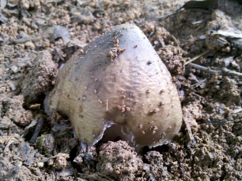 2011-07-25_11-18-45_620.jpg