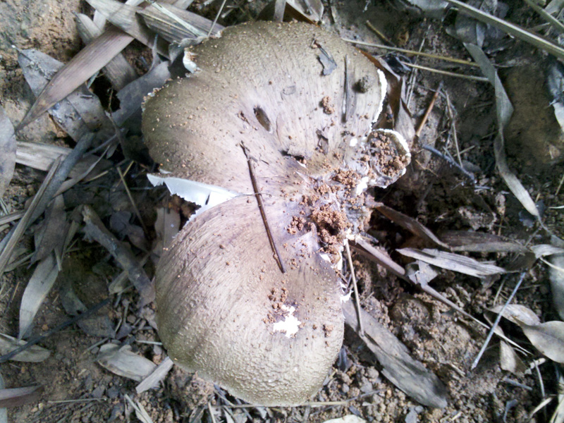 2011-07-25_11-19-12_276.jpg