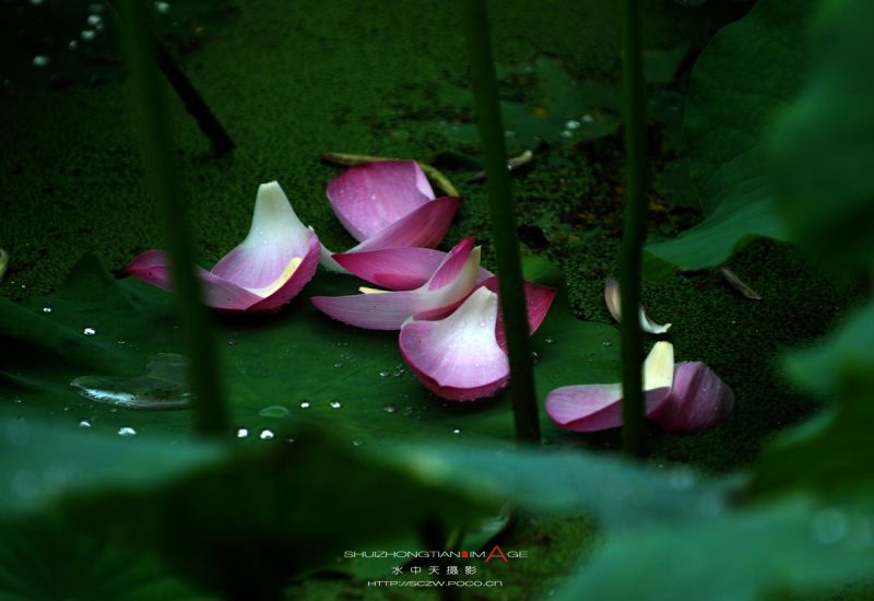 tiandiyisaou的作品.jpg.thu[1].jpg