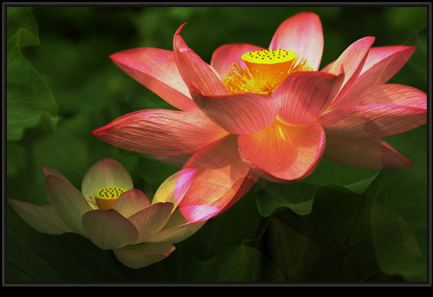 照片 055_副本.jpg