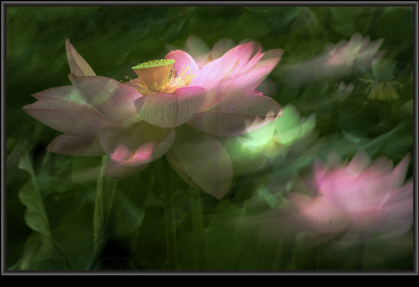 照片 020_副本.jpg