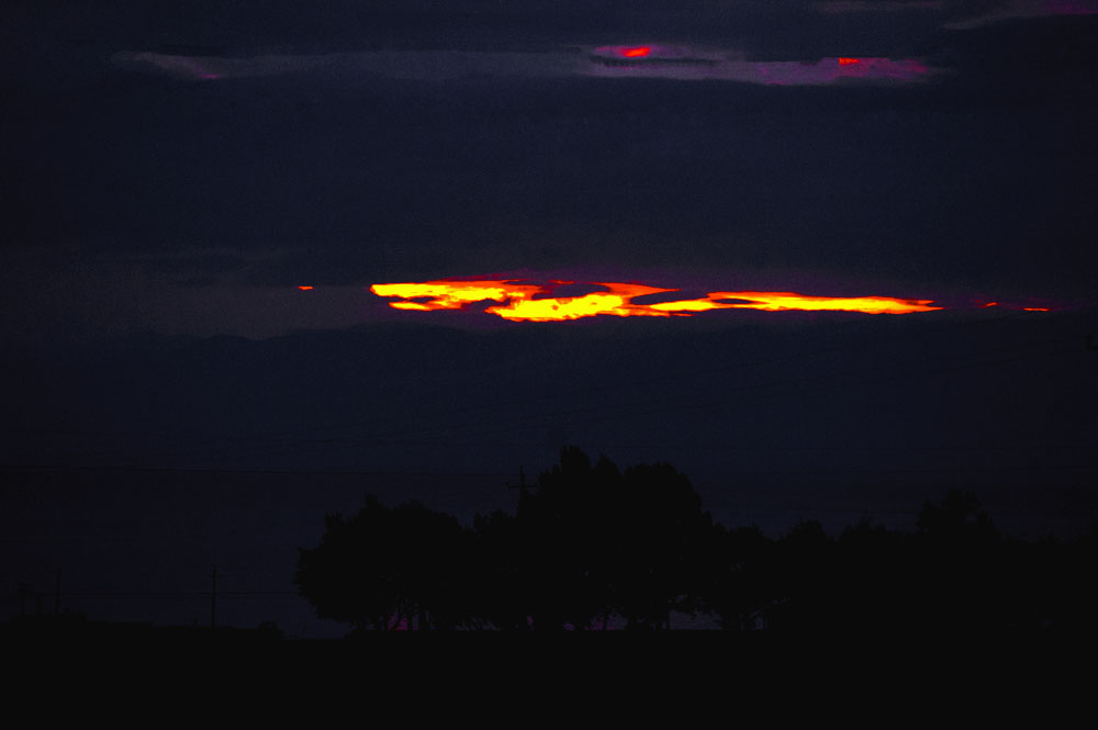 DSC_5600.jpg