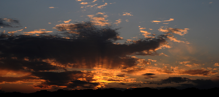 DSC_1129.jpg