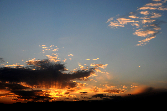 DSC_1130.jpg