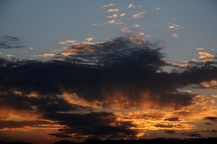 DSC_1131.jpg