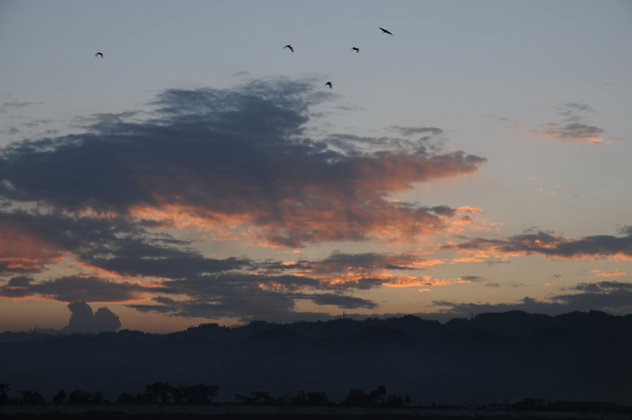 DSC_1136.jpg