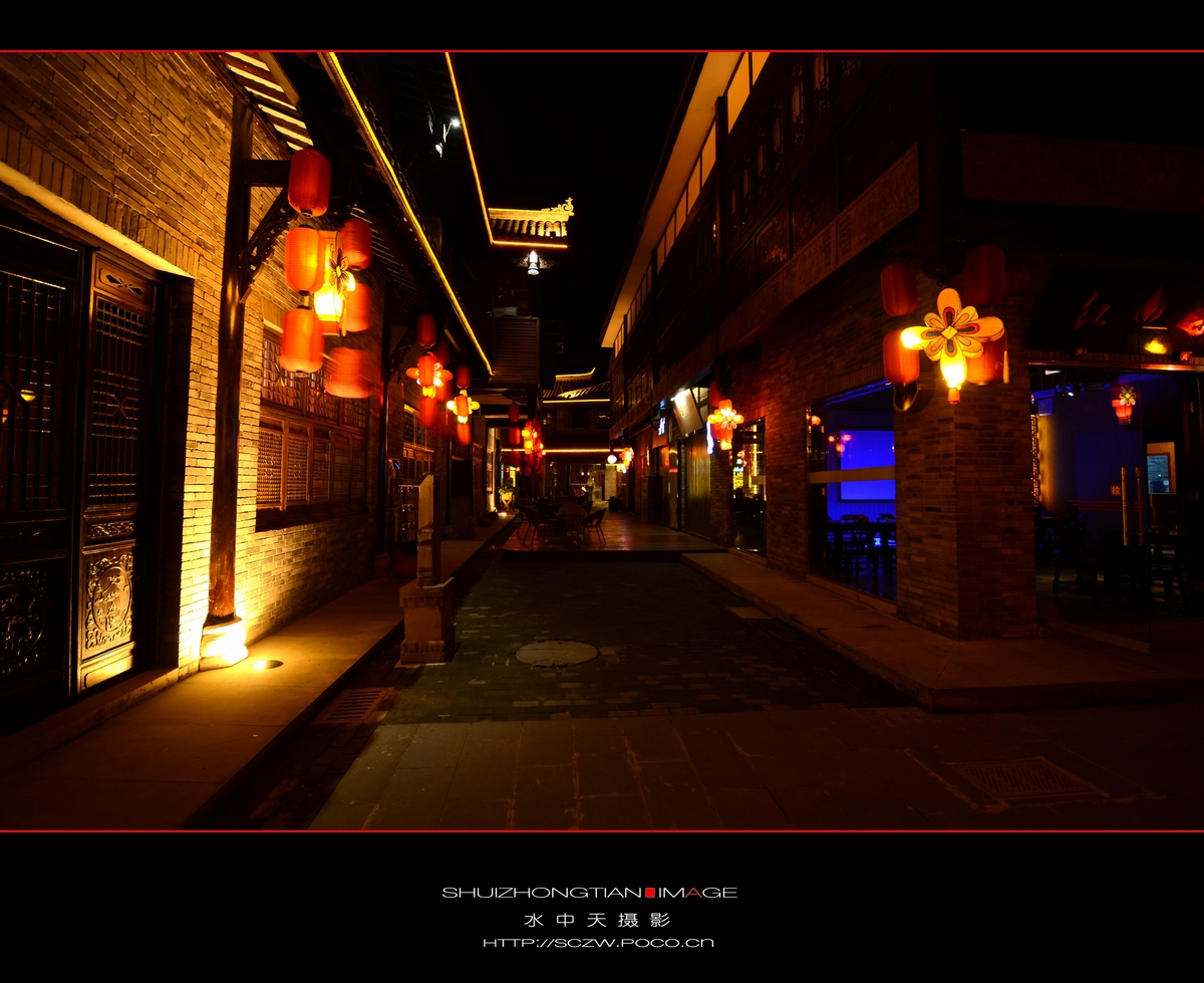 DSC_0315.jpg